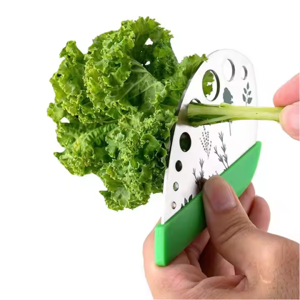 Stainless Steel Kitchen Herb Leaf Stripping Tool Loose Leaf Kale Razor Metal Herb Peeler Cutter 9 Holes Herb Leaf Stripper - Image 6